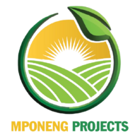 mponengprojects.co.za